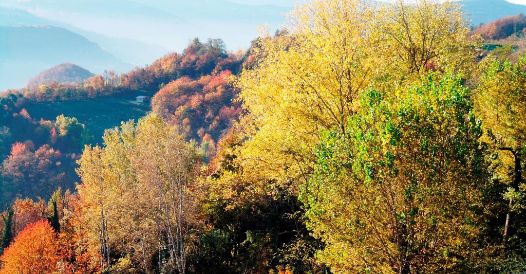 Borgo San Rocco Piemonte Apartment Castino Bagian luar foto