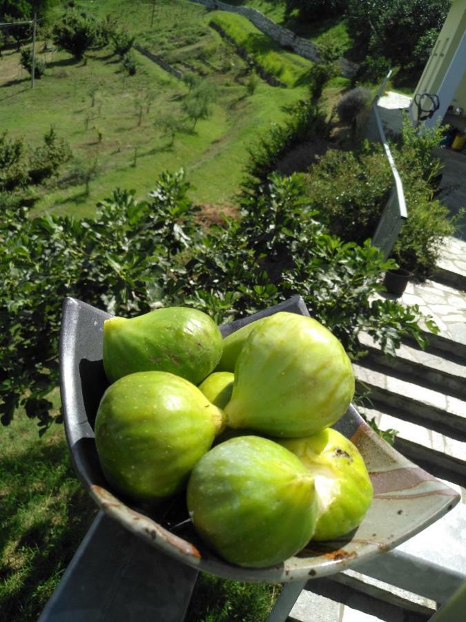 Borgo San Rocco Piemonte Apartment Castino Bagian luar foto
